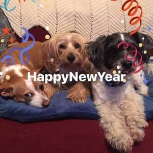 Meet your Posher, Gail